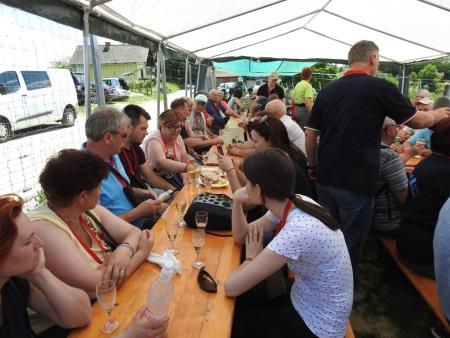 Pomlad v prleških goricah 2017 127